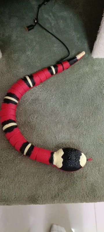 Customer photo review of The Slither — Auto Sensing Cat Snake Toy