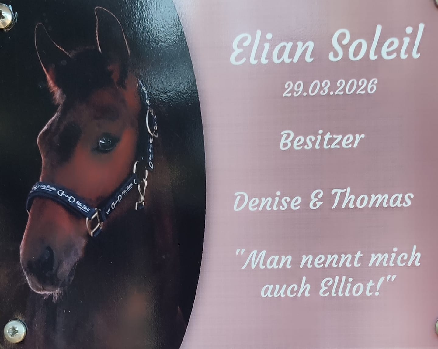 Customer photo review of Pferde Boxenschild mit Foto & Wunschtext (UV- und wetterfest)