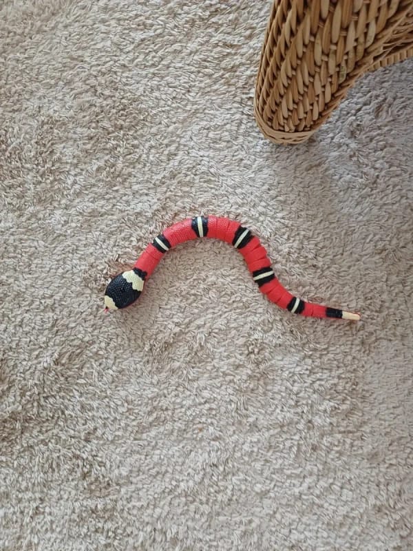 Customer photo review of The Slither — Auto Sensing Cat Snake Toy