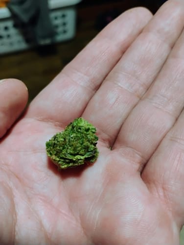 Truffle - Bulk - Indica photo review