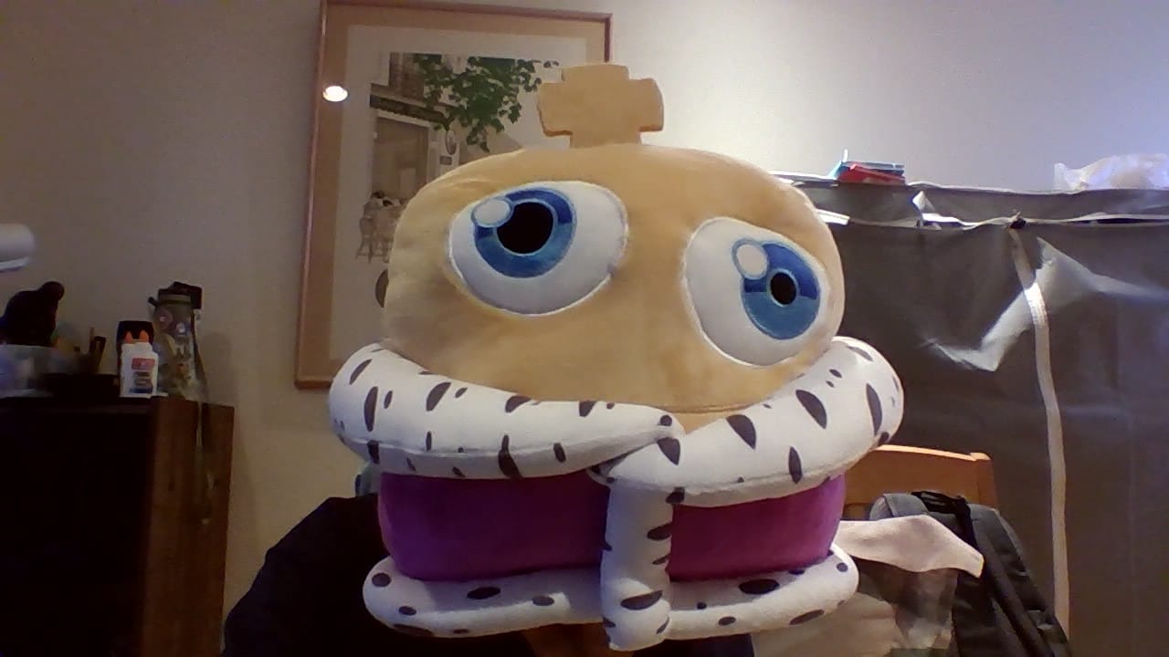 Customer photo review of Kinger Pillow Plush
