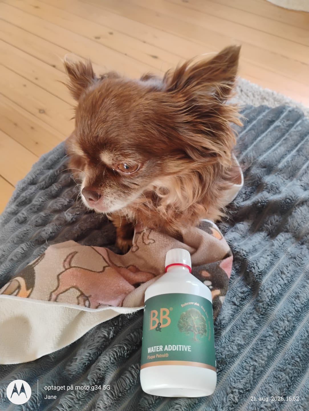 Customer photo review of B&B - Plaque Patrol® Vandtilsætning