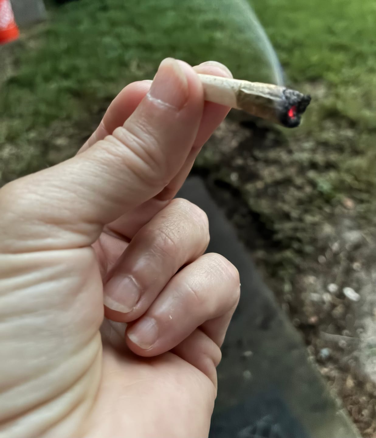 Customer photo review of 25 Pre-Rolls | 12.5G Total | Limited Stock Sale