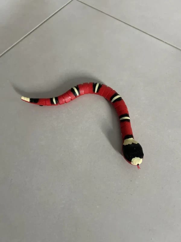 Customer photo review of The Slither — Auto Sensing Cat Snake Toy