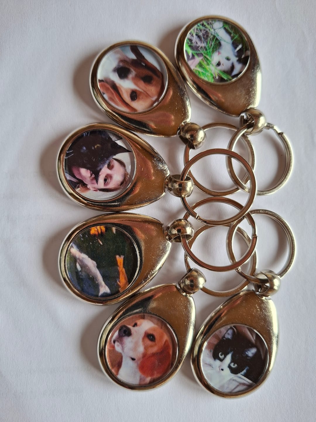Customer photo review of Hunde-Türschild personalisiert mit Foto & Text (UV- und wetterfest)