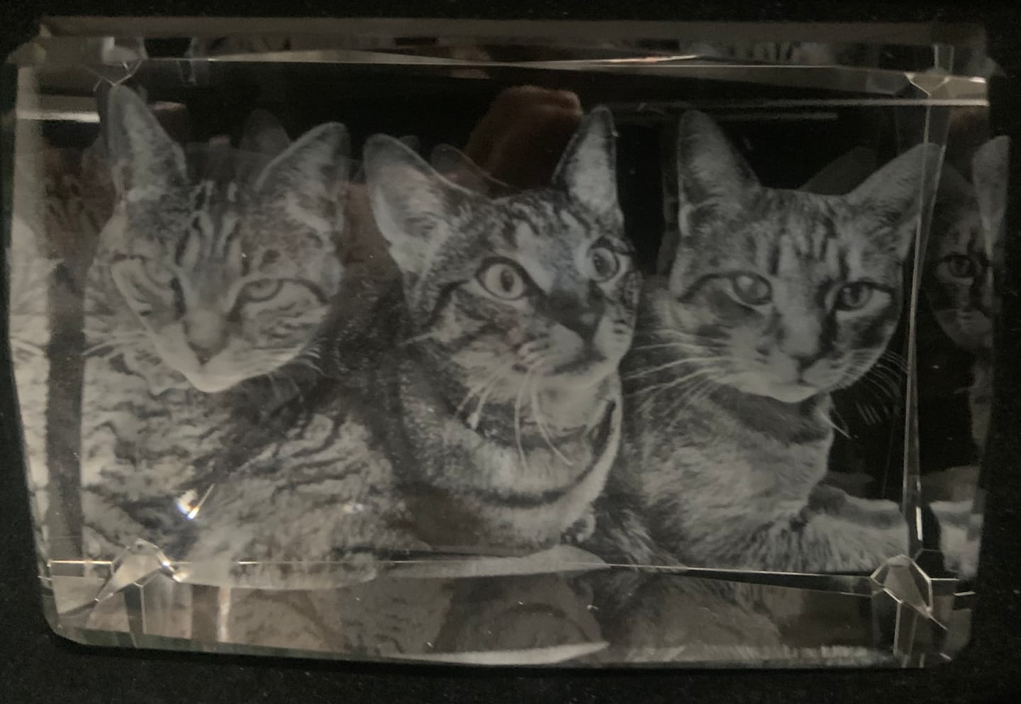 Customer photo review of Medium 3D Photo Crystal Rectangle - 80mm x 120mm x 60mm