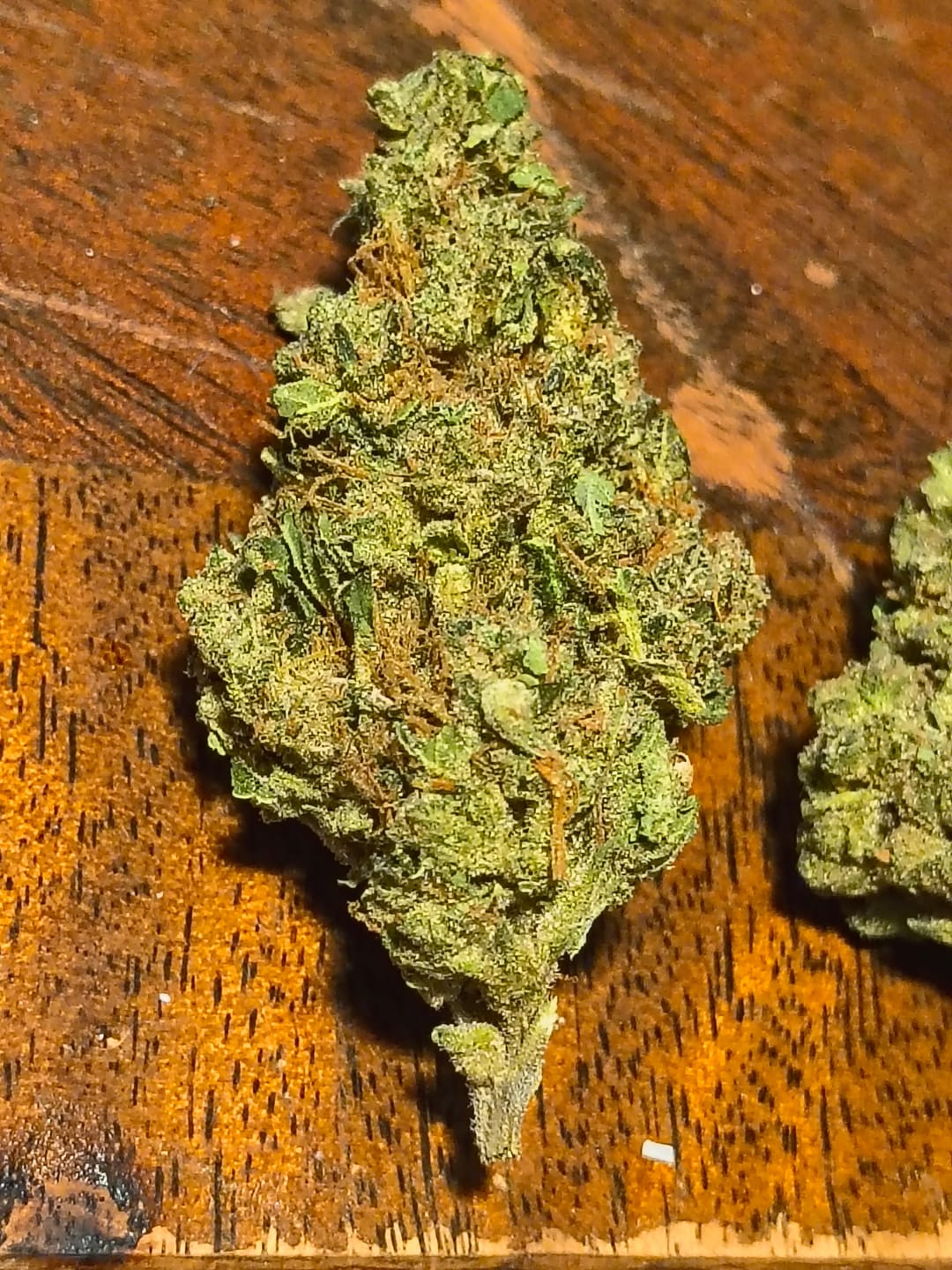 Customer photo review of OG Kush THCA Flower (Budget)