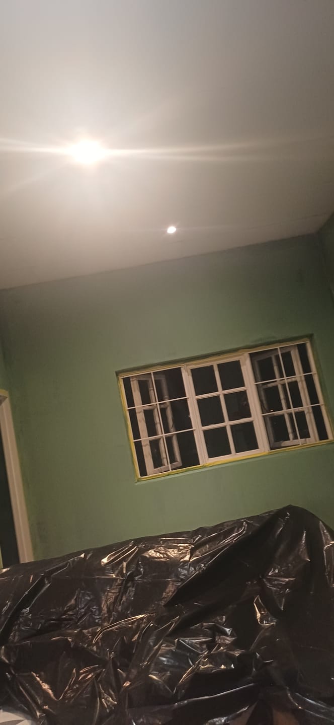 Customer photo review of Buildkote 20lt - PVA Acrylic Interior & Exterior Paint + Free Roller