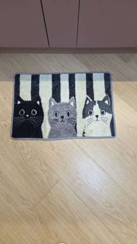 Customer photo review of Cat Print Doormat - Waterproof Soft Floor Rug