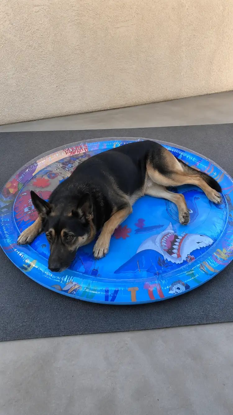 Customer photo review of Upgraded Nail-Resistant Cooling Water Bed