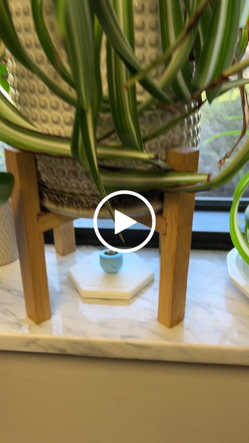 Customer video review of Mystery Pool