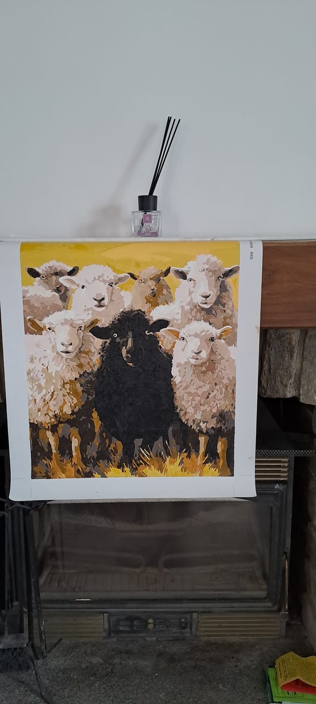 Customer photo review of Black Sheep | Paint by Number