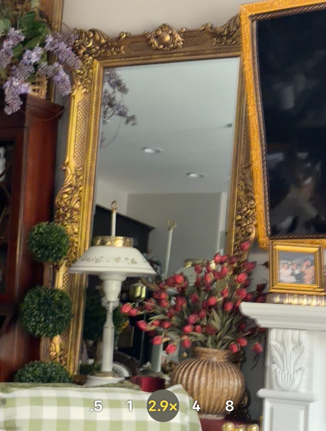 Customer photo review of Lantern Bud Luxe Bush | Burgundy PRE ORDER