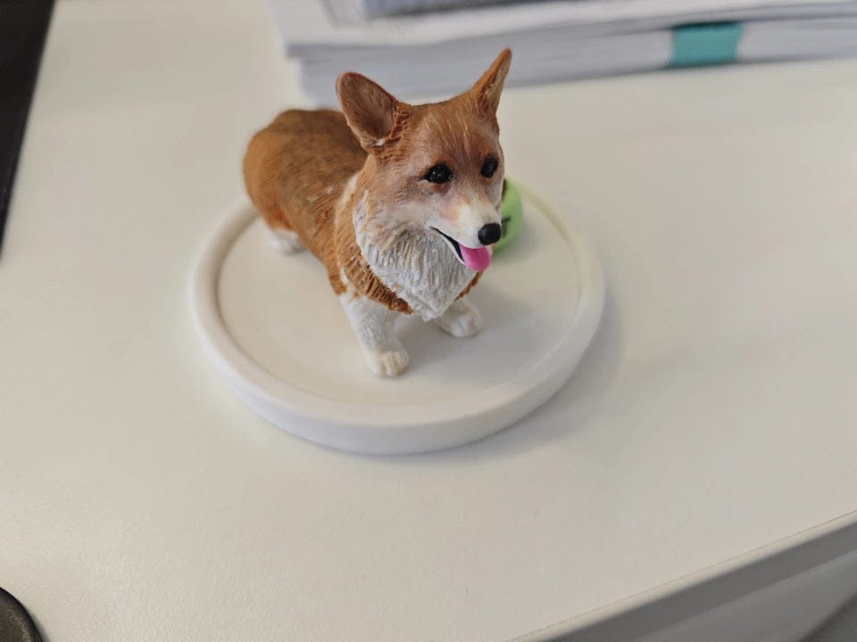 Customer photo review of Custom Handmade Polymer Clay Pet Figurine