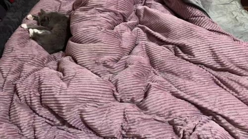 Customer photo review of Velvet Duvet Cover – Winter Thick Warmth Bedding Set