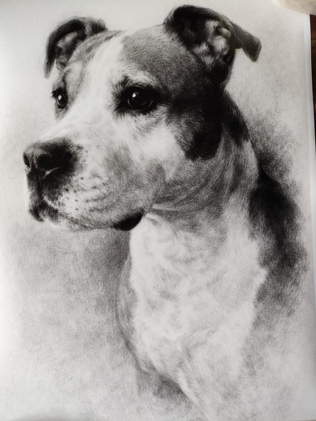 Customer photo review of Charcoal - Gepersonaliseerde Poster