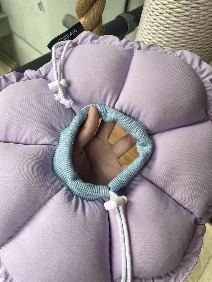 Customer photo review of Upgraded Floral Elizabeth Collar - Comfortable for Eating and Sleeping