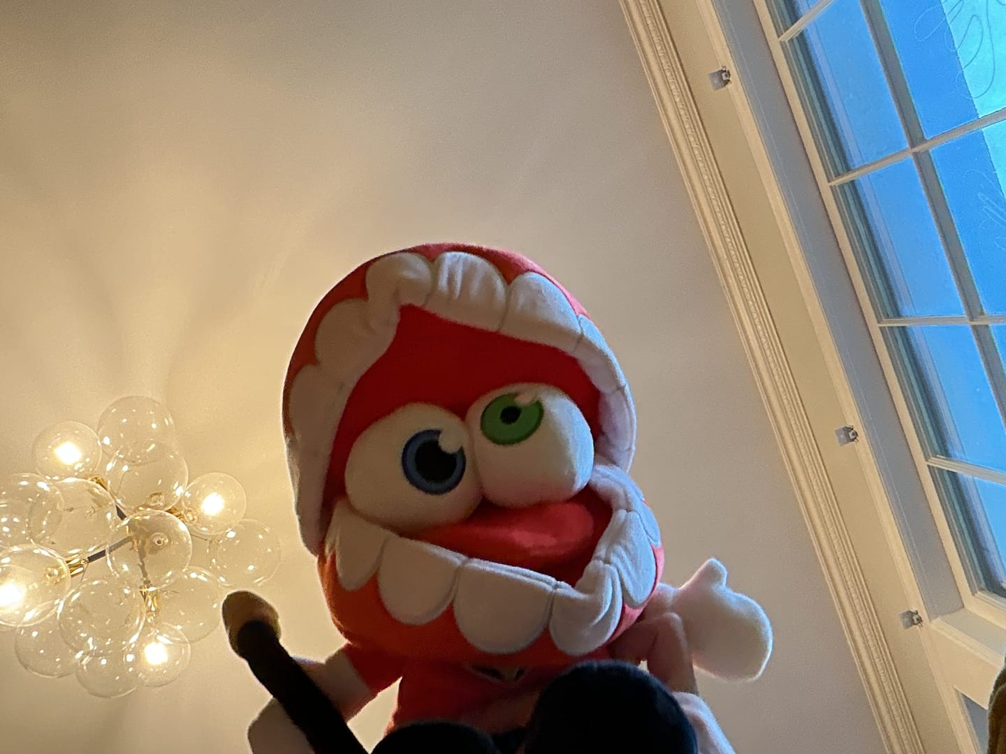 Customer photo review of Caine Plush