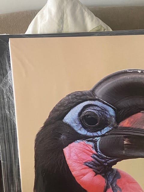 Customer photo review of 3 x A1 (Large) - 600mm x 800mm each