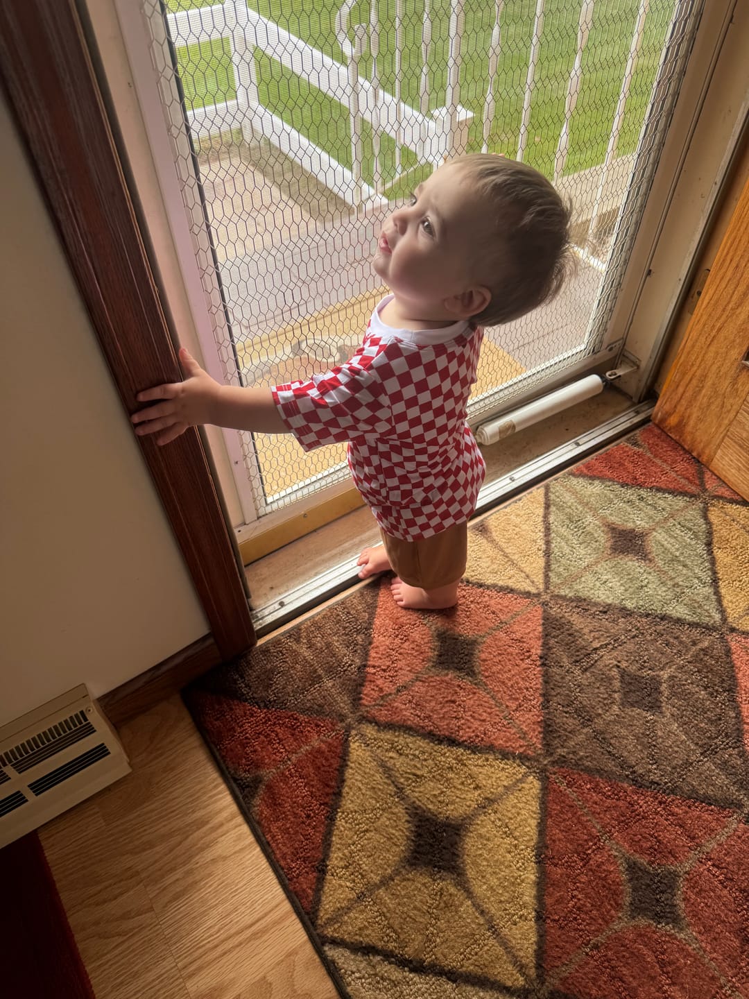Customer photo review of Shorts