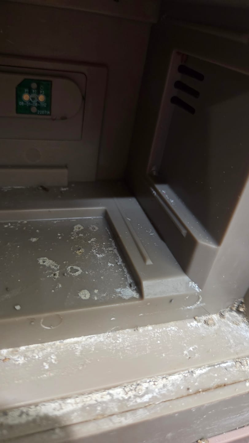 Customer photo review of Self-Cleaning Litter Box