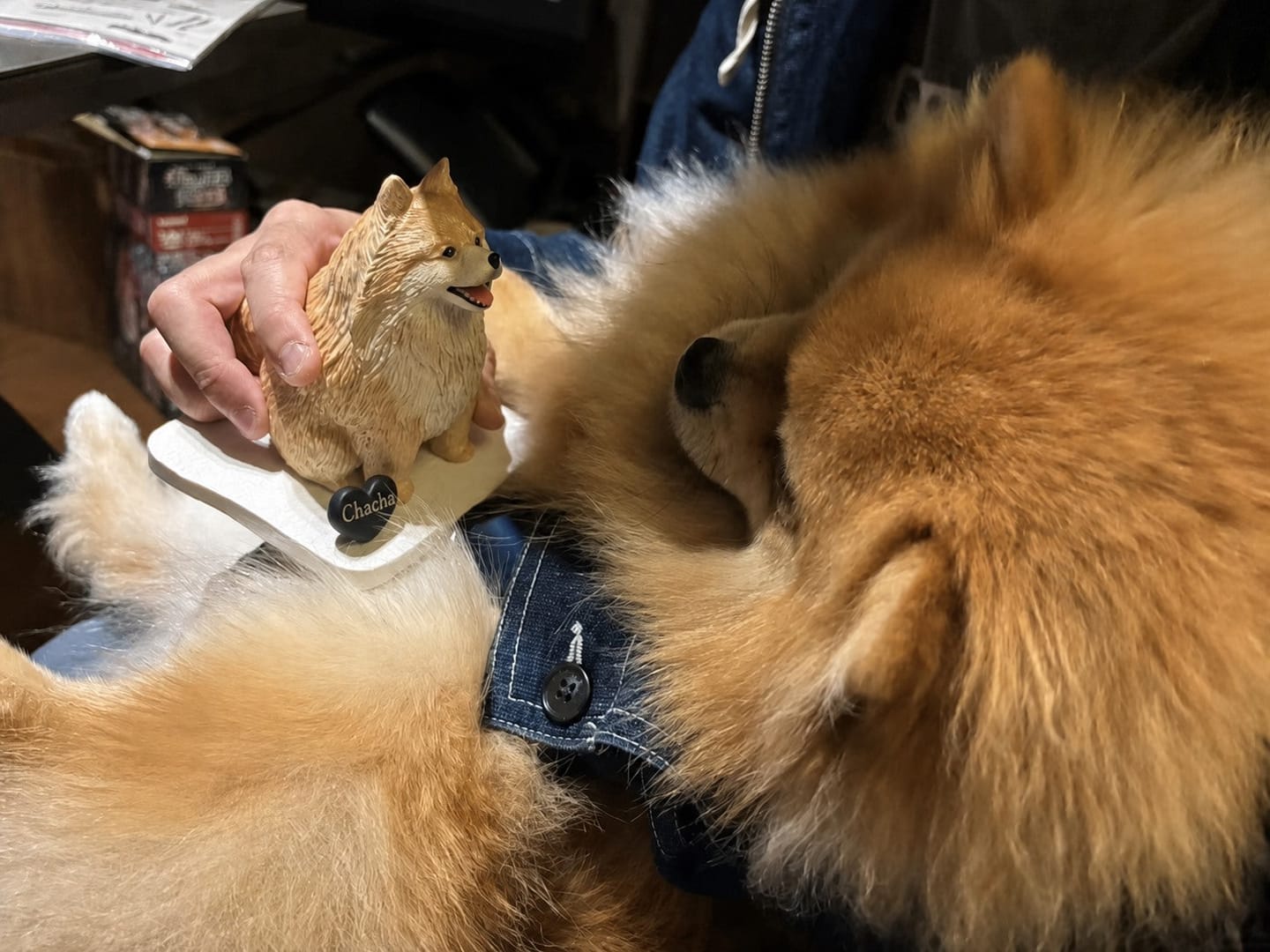 Customer photo review of Custom Handmade Polymer Clay Pet Figurine