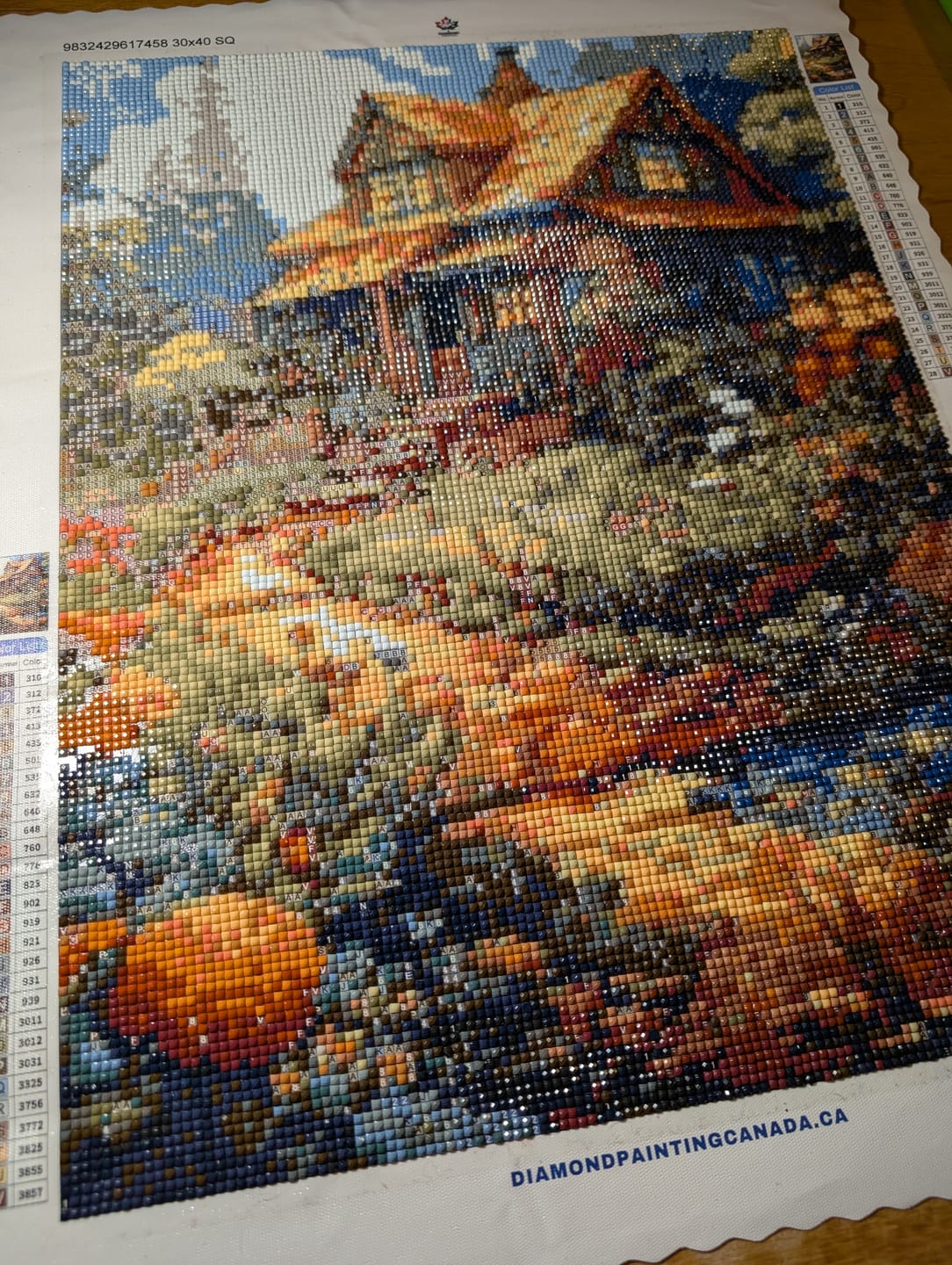 Customer photo review of Colorful Homestead Oasis (Diamond Painting)