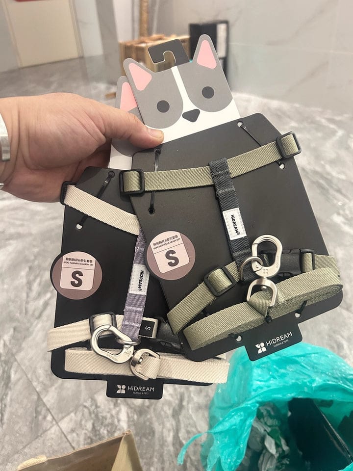 Customer photo review of Valora Ultra-Lightweight H-Shaped Escape-Proof Dog Harness and Leash Set