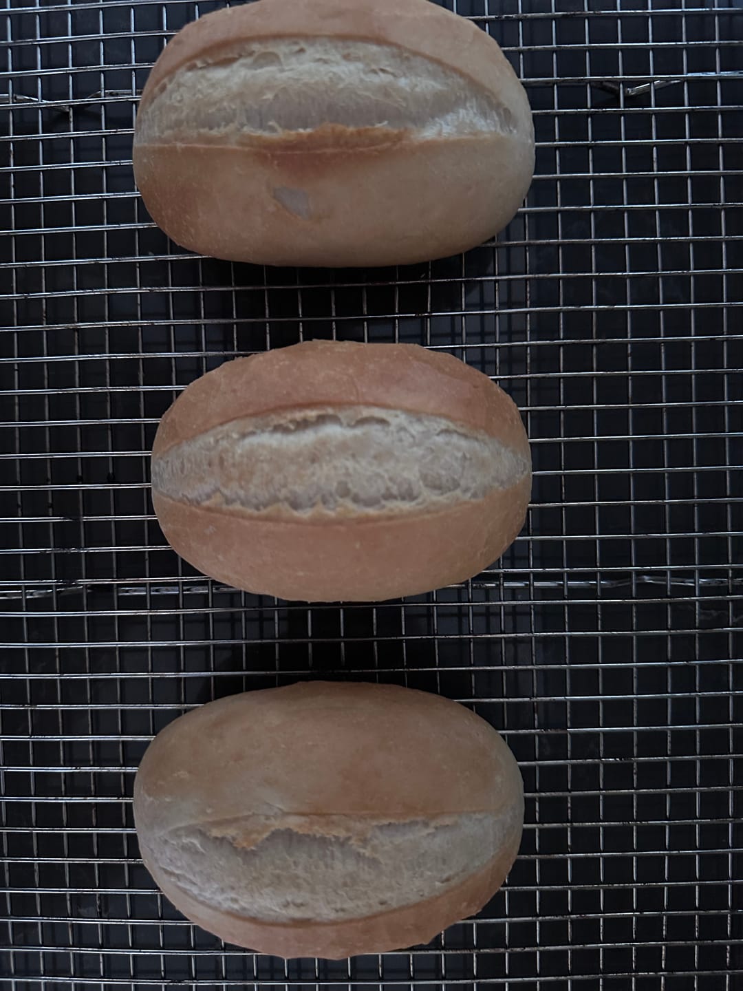 Customer photo review of Baker's Rolls "Brötchen" (5 pack)