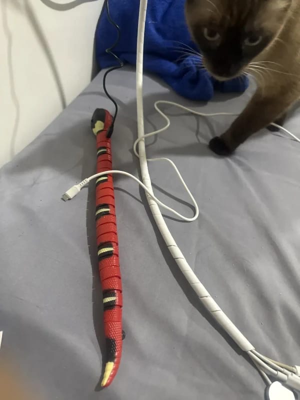 Customer photo review of The Slither — Auto Sensing Cat Snake Toy