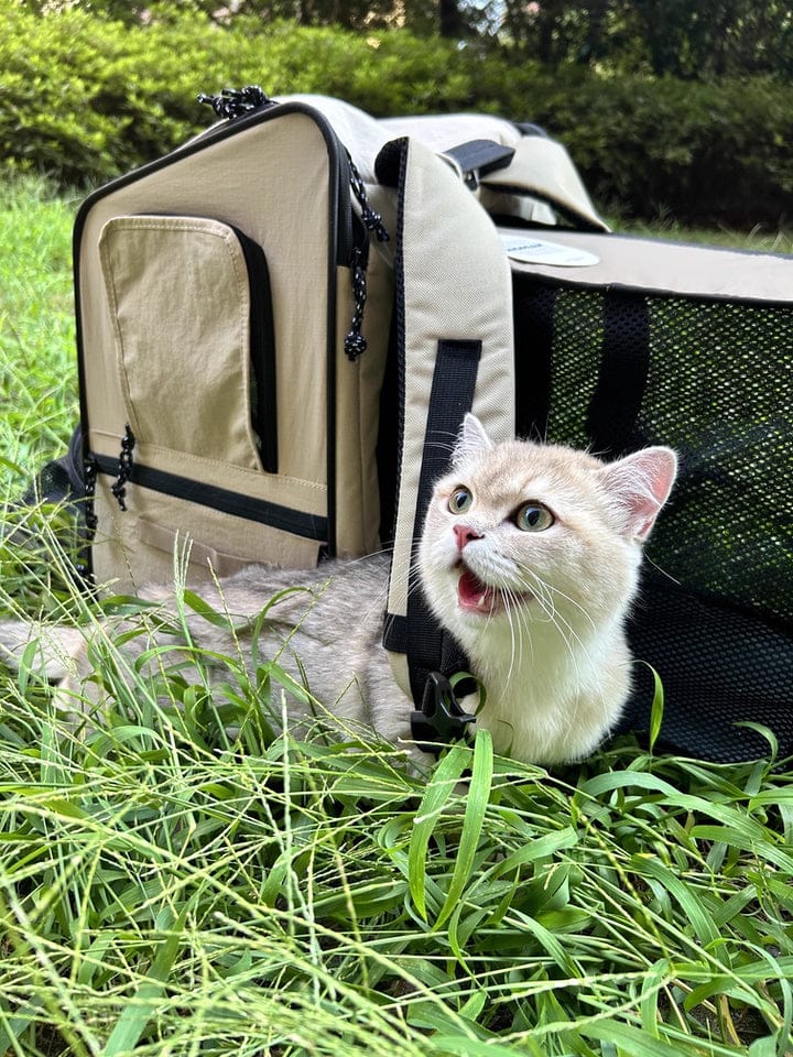 Customer photo review of Luxury Expandable Front and Rear Pet Travel Backpack Tent – Perfect for Multiple Cats, Large Cats, or Small Dogs