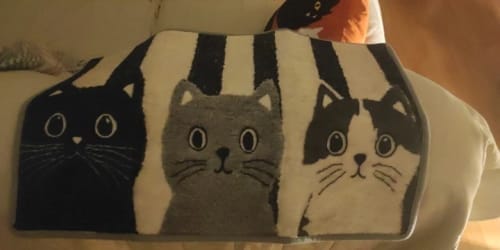 Customer photo review of Cat Print Doormat - Waterproof Soft Floor Rug