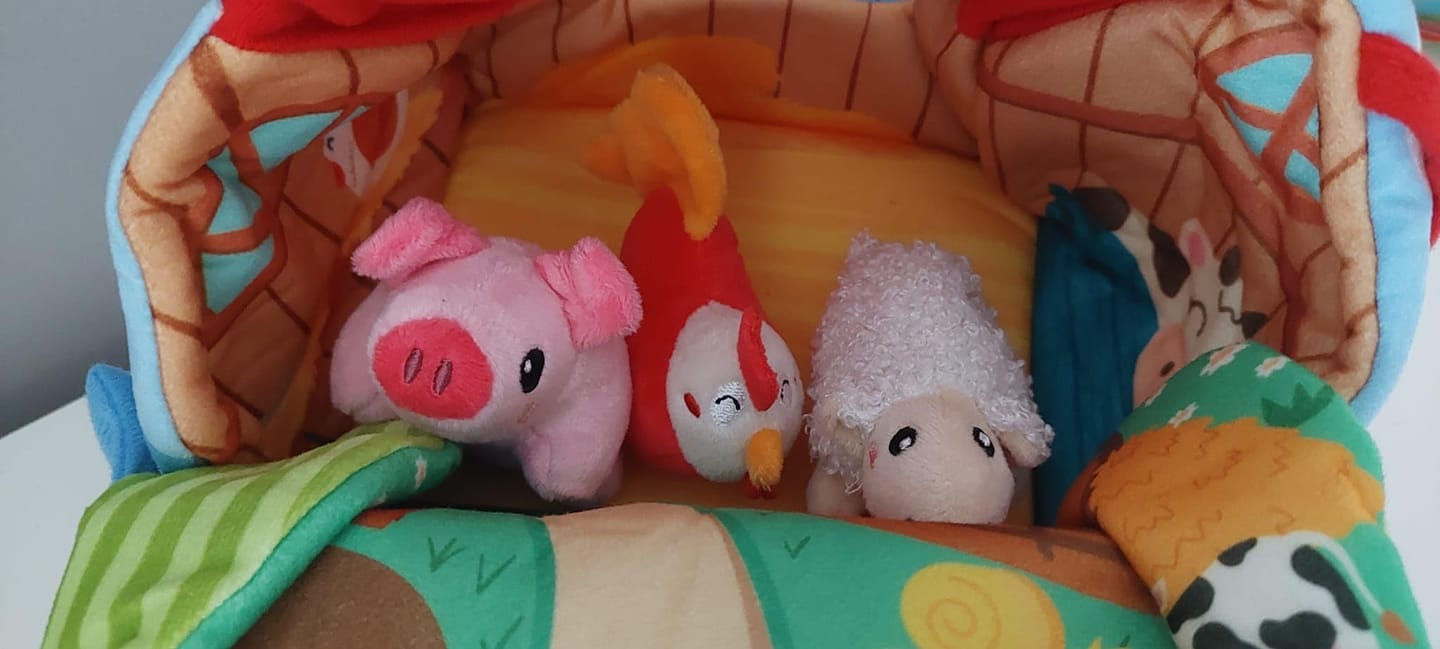 Customer photo review of 🐮 FarmyFriends™ – La Fattoria Magica che Parla e Suona