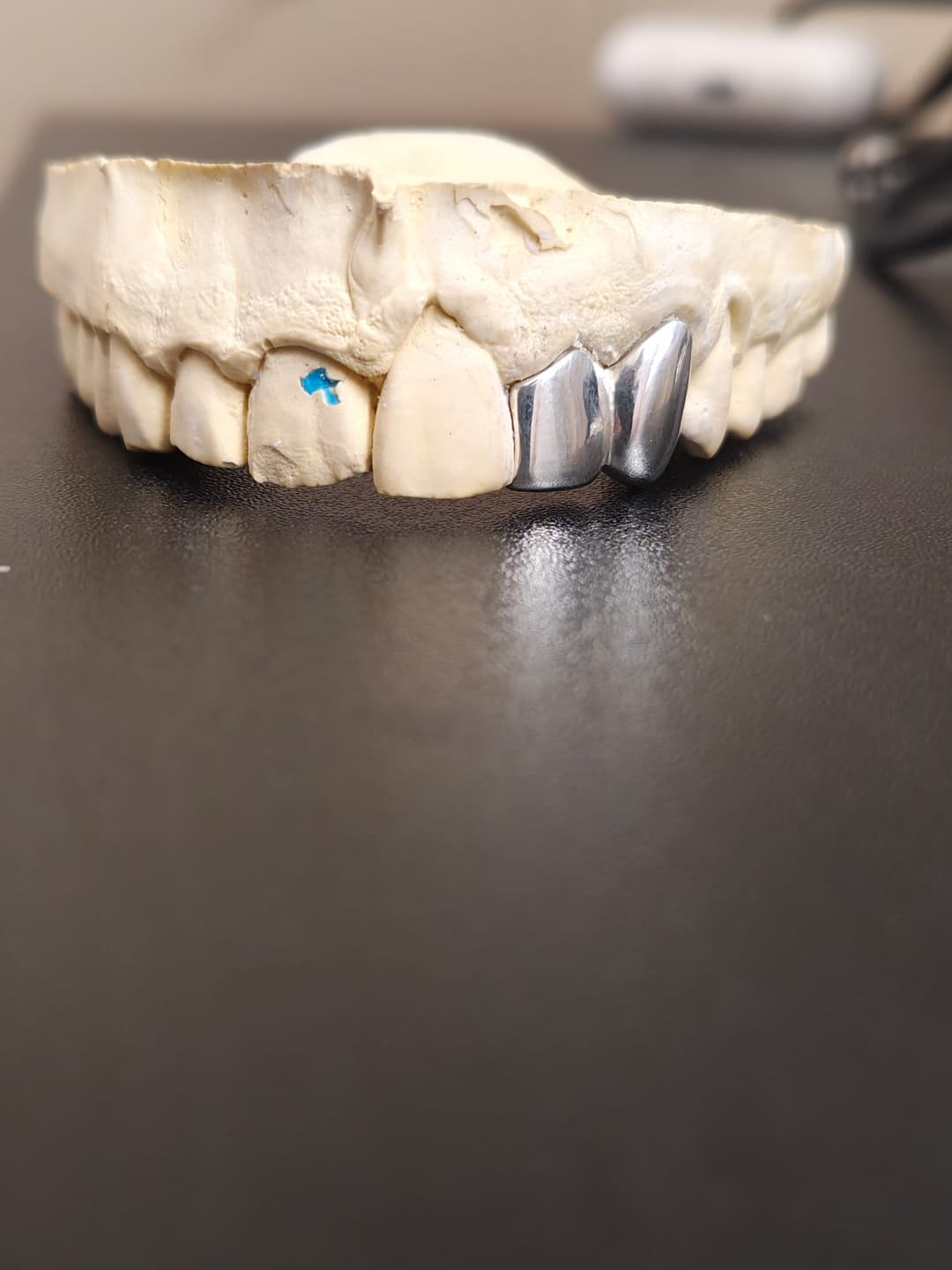 Customer photo review of Lateral & Canine