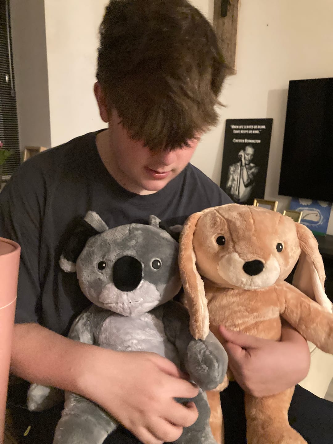 Customer photo review of Lotgenootje Koala 2kg