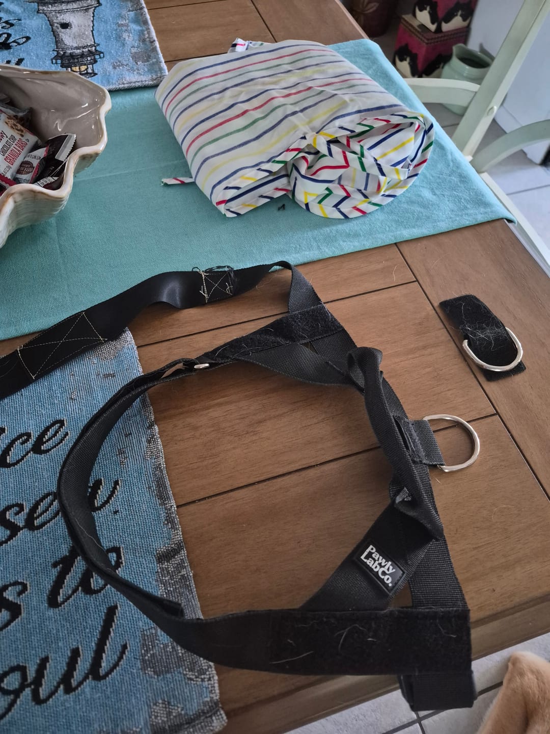 Customer photo review of No-Pull Dog Leash [FREE TODAY]