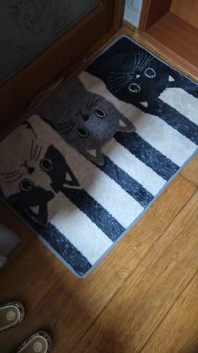 Customer photo review of Cat Print Doormat - Waterproof Soft Floor Rug