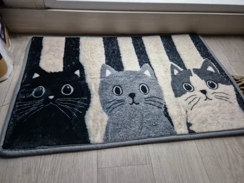Customer photo review of Cat Print Doormat - Waterproof Soft Floor Rug