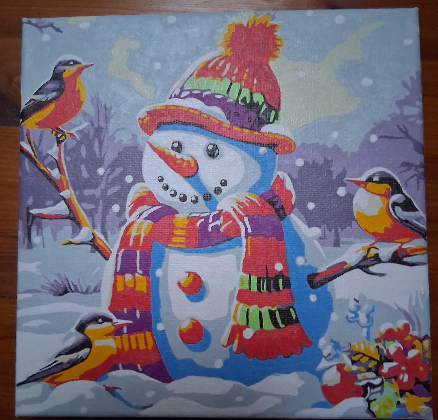 Customer photo review of Mini Peinture par Numéros 20x20cm avec cadre Bonhomme de Neige et les Oiseaux