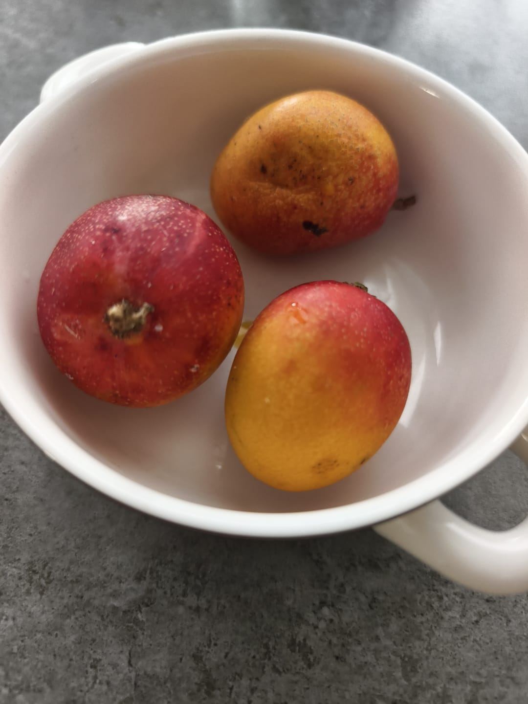 Customer photo review of Baby-Mango Mix "Wild Wonders" von Julian