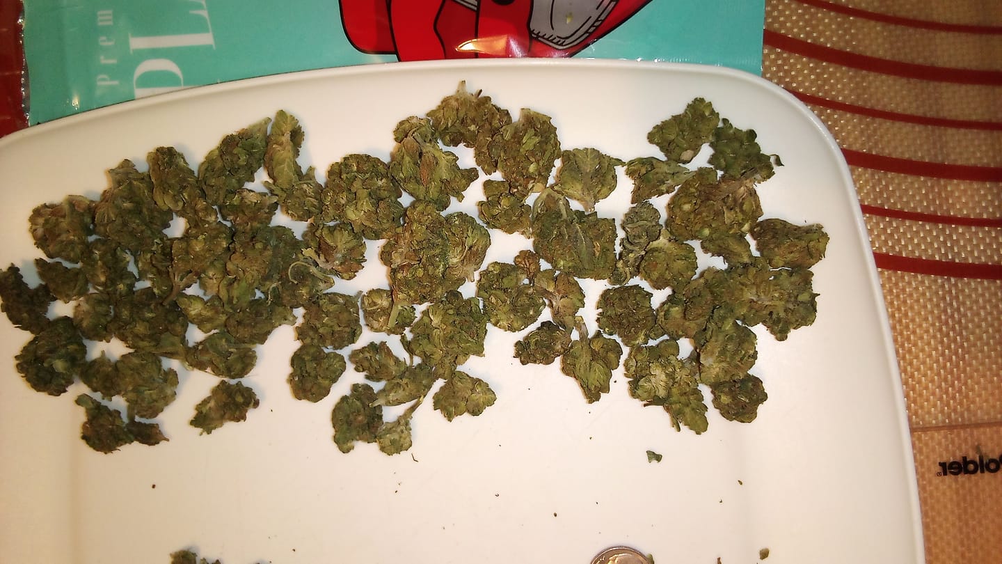 Customer photo review of 1 Oz Cheap THCA Small Buds