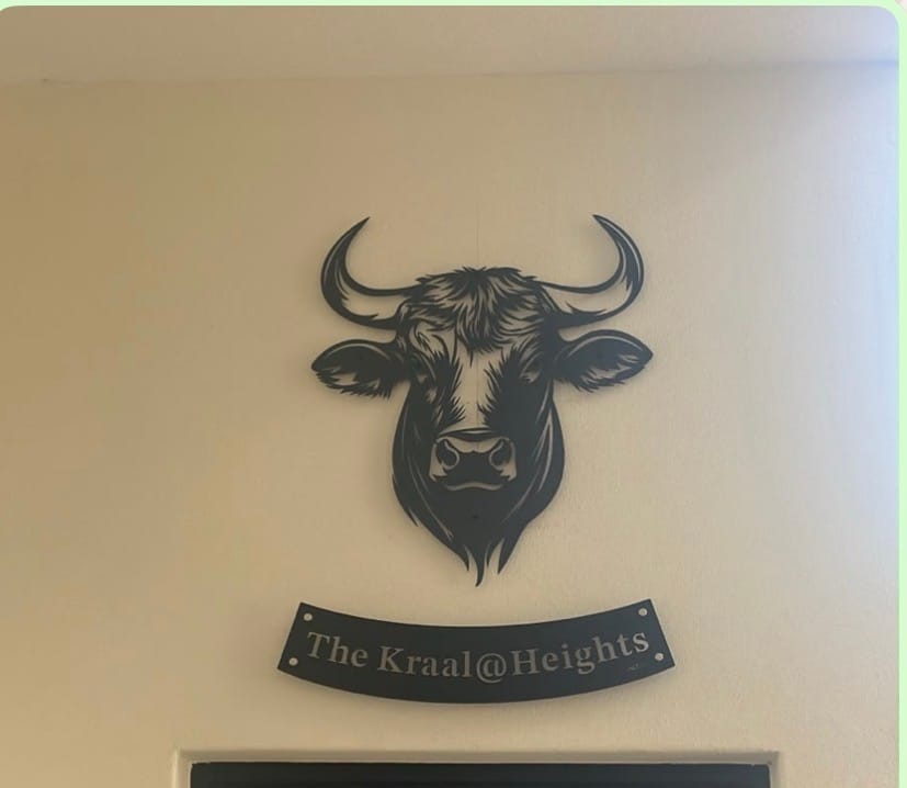 Customer photo review of Horned Bull Metal Wall Art
