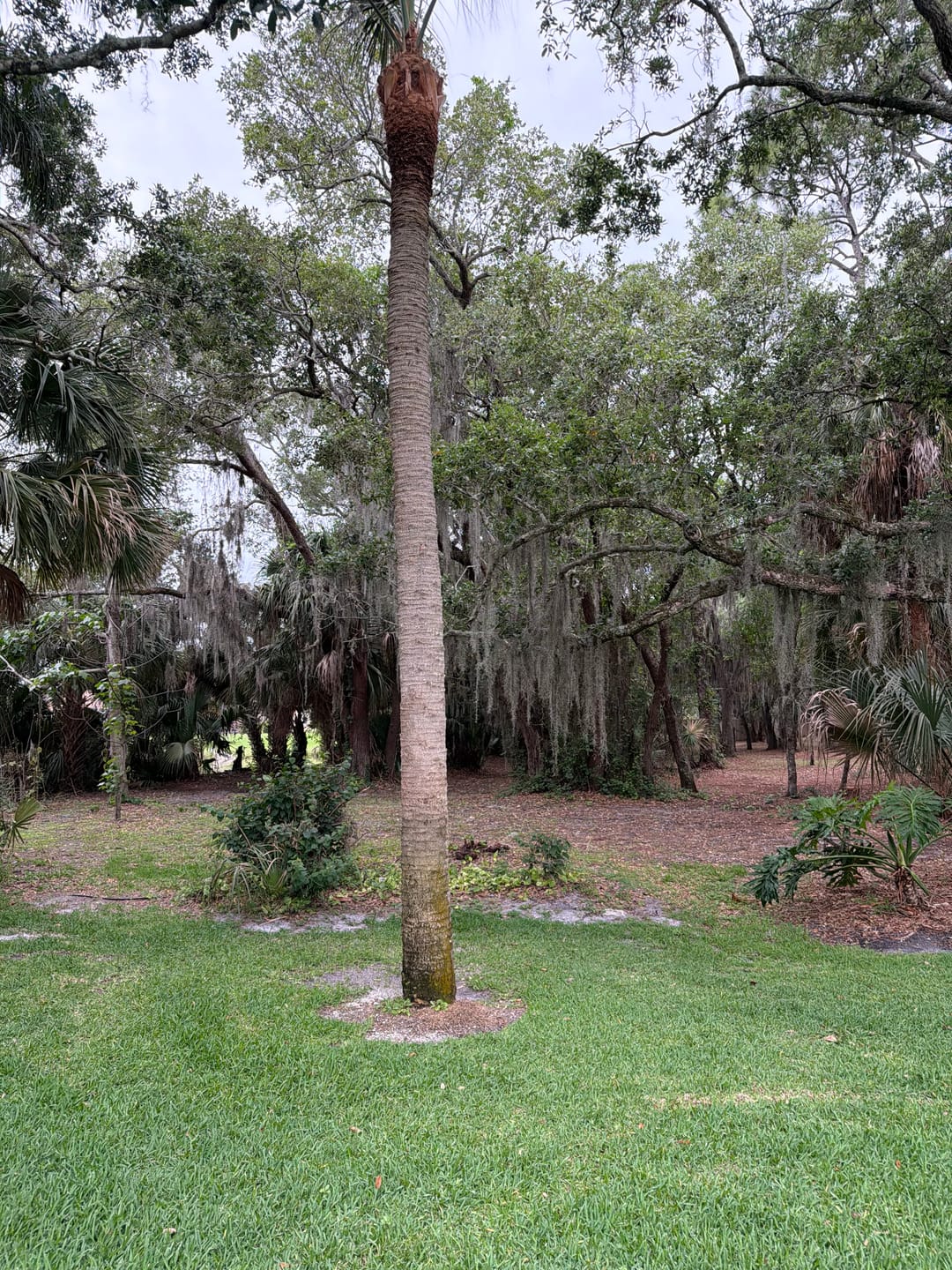 Customer photo review of Battery Pack 60W Solar Street Light 6000 Lumens