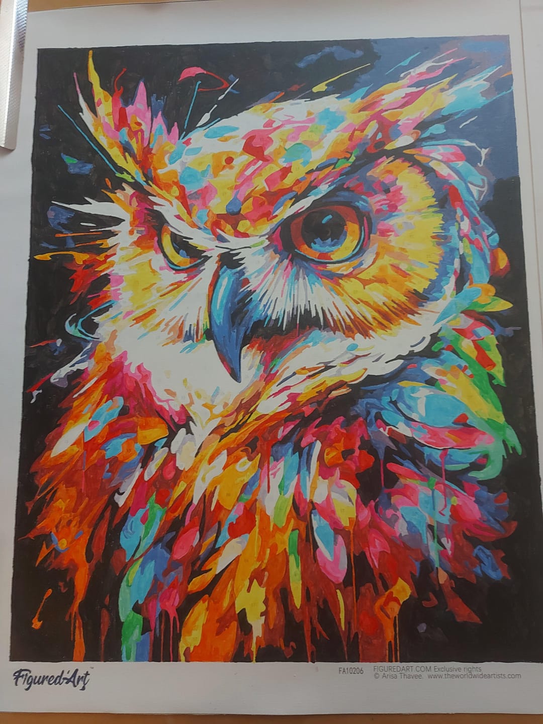 Customer photo review of Hibou Coloré Abstrait