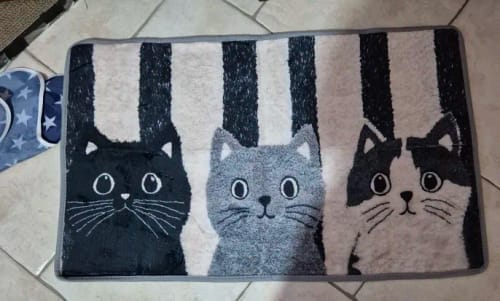 Customer photo review of Cat Print Doormat - Waterproof Soft Floor Rug