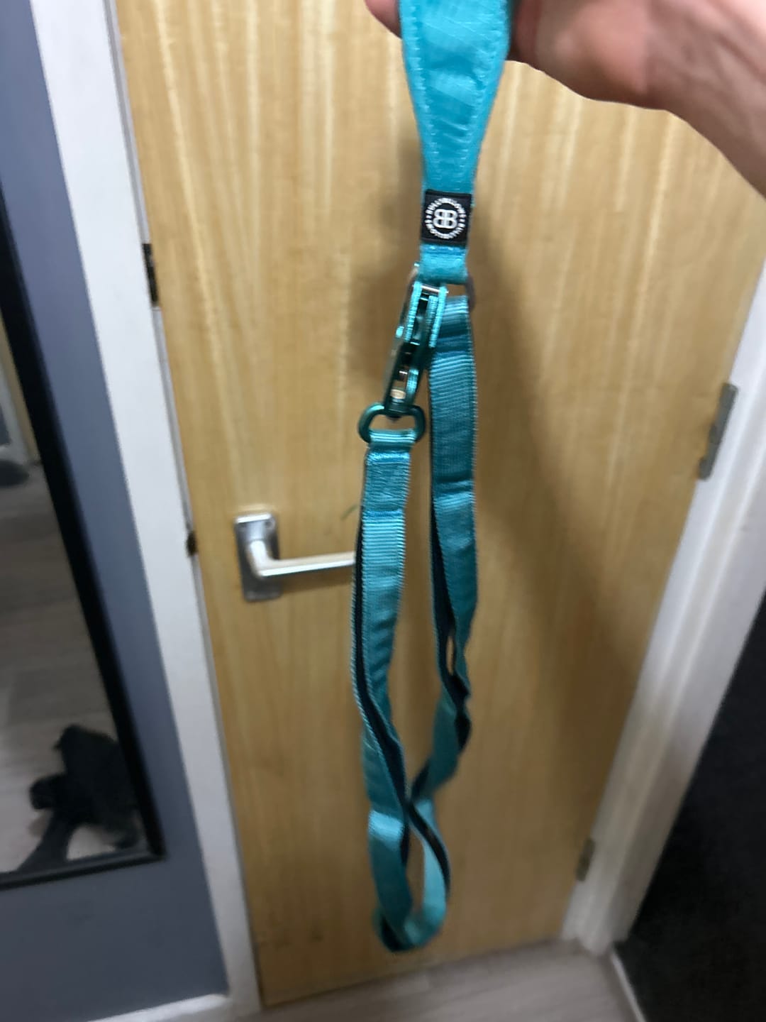 Customer photo review of Ladder Combat® Multiple Handles Lead - Teal