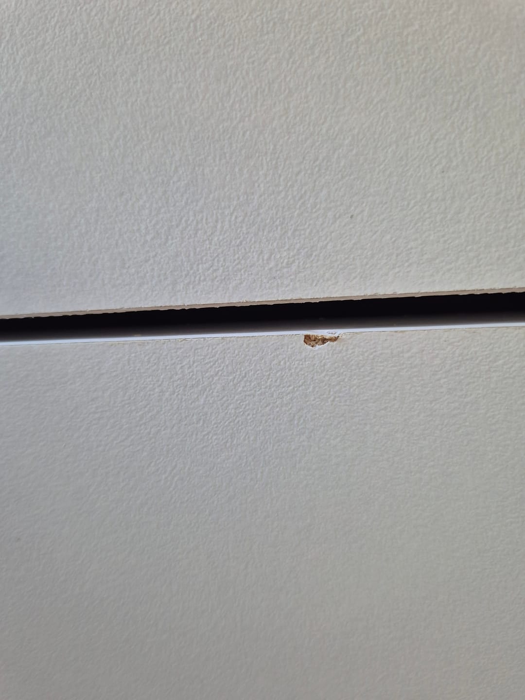 Customer photo review of Rani JE196 Çok Amaçlı Dolap 6 Kapaklı 1 Çekmeceli Kiler Mutfak Dolabı Sepet Ceviz - Beyaz