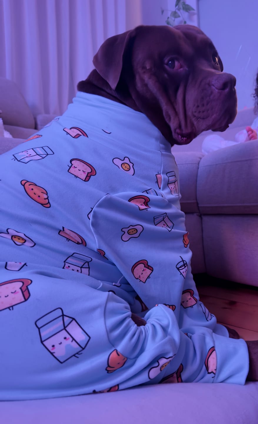 Customer photo review of Dog Pajama - Donuts