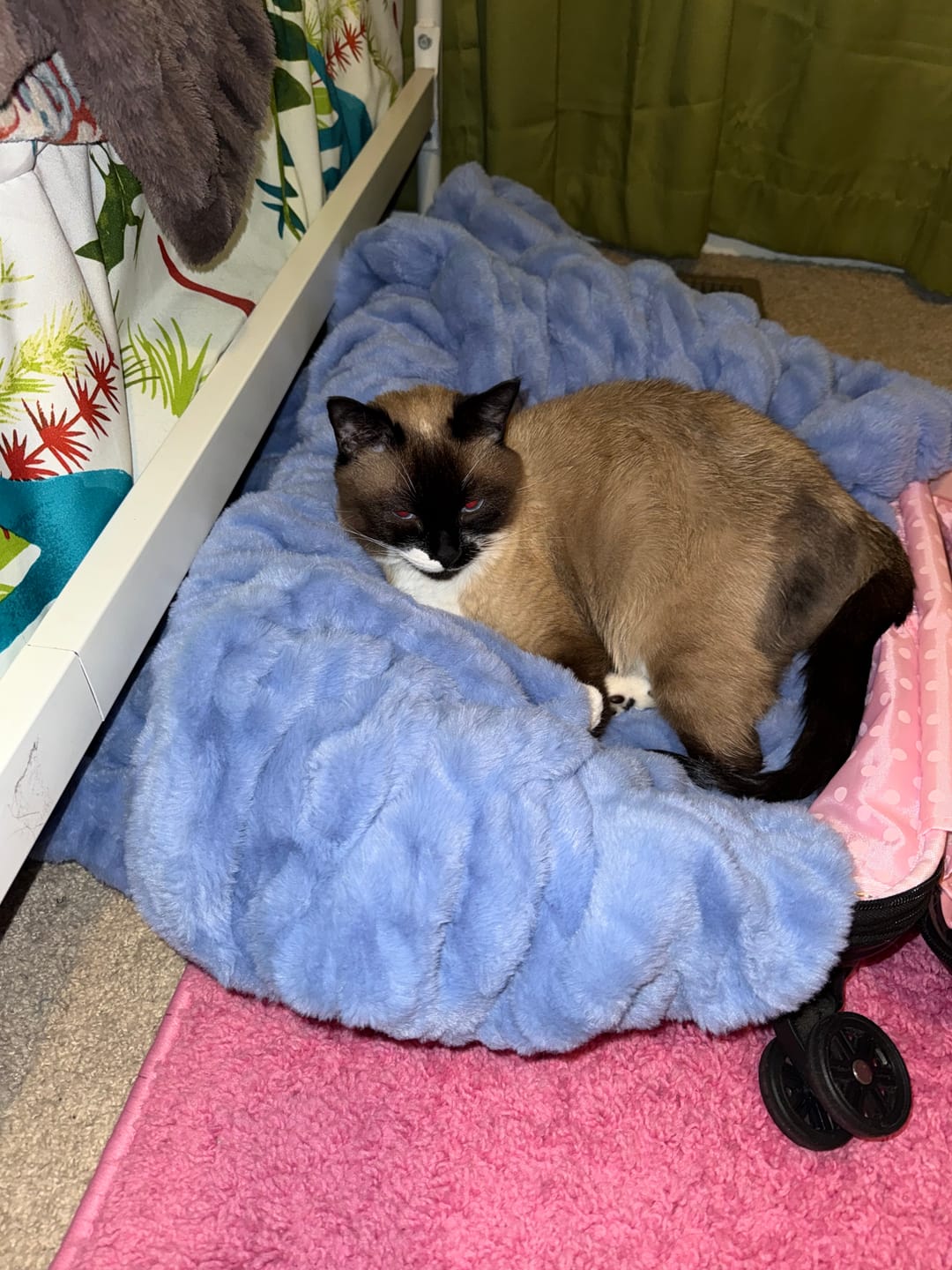 Customer photo review of Hugs Light Caribbean Blue Blanket