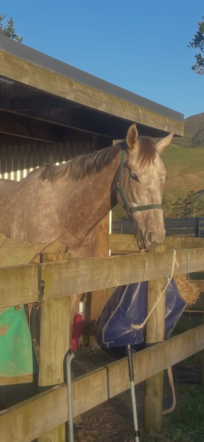 Customer photo review of Rhino Plus Turnout 0g